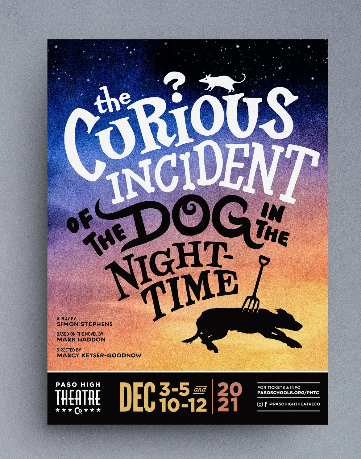 The Curious Incident of the Dog in the Night-Time show poster